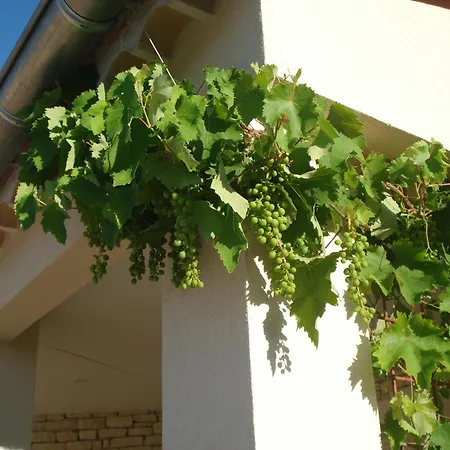 Clos De La Blaquiere Vila *